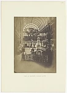 View of Transept, Looking South by Hugh Owen|Nicolaas Henneman