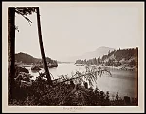 View on the Columbia, Cascades by Carleton E. Watkins