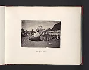 Wat Elephant by John Thomson