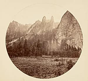 [Yosemite National Park, California] by Carleton E. Watkins