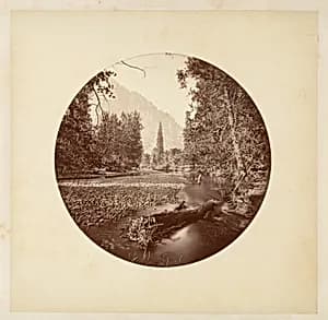 [Yosemite National Park, California] by Carleton E. Watkins