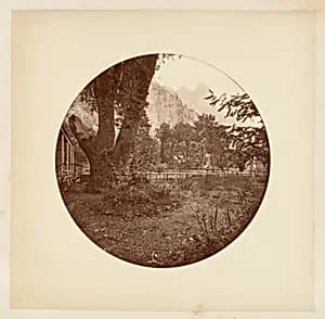 [Yosemite National Park, California] by Carleton E. Watkins