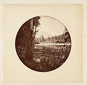 [Yosemite National Park, California] by Carleton E. Watkins