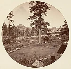 [Yosemite National Park, California] by Carleton E. Watkins