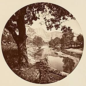 [Yosemite National Park, California] by Carleton E. Watkins