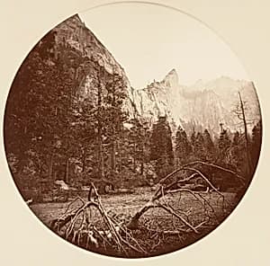 [Yosemite National Park, California] by Carleton E. Watkins
