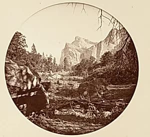 [Yosemite National Park, California] by Carleton E. Watkins