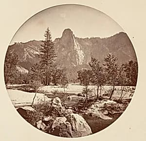 [Yosemite National Park, California] by Carleton E. Watkins