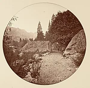 [Yosemite National Park, California] by Carleton E. Watkins