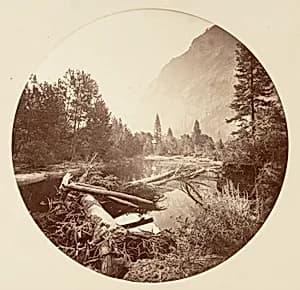 [Yosemite National Park, California] by Carleton E. Watkins