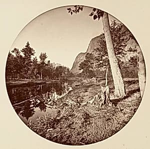 [Yosemite National Park, California] by Carleton E. Watkins