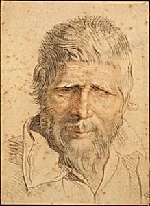 Head of a Man by Flemish