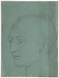 Head of a Young Woman