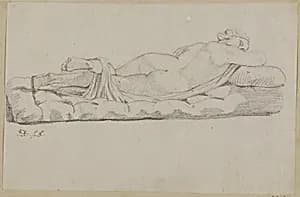 Hermaphrodite