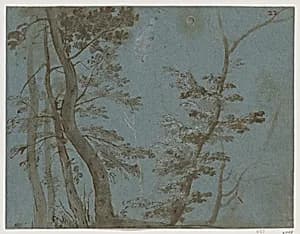 Trees by Claude Lorrain (Claude Gellée)|Giovanni Francesco Grimaldi