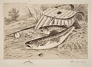 A Good Catch
