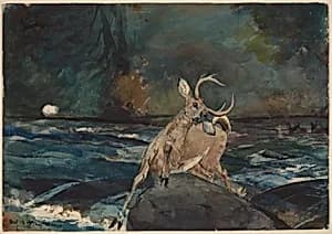 A Good Shot, Adirondacks by Winslow Homer