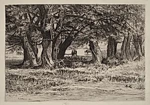 A Group of Willows by Eleazer Hutchinson Miller