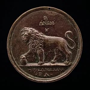 A Lion by Vittore Gambello