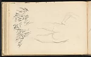 A Nude and Foliage by Paul Cezanne