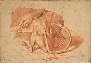 Portrait of Italian 16th/17th Century, possibly Florentine or Roman