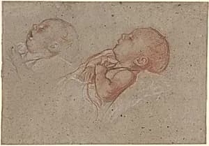 A Sleeping Baby by Frank Brangwyn