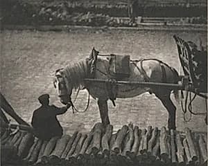 A Snapshot, Paris [horse] by Alfred Stieglitz (editor/publisher) after Various Artists