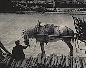 A Snapshot, Paris by Alfred Stieglitz