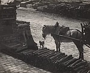 A Snapshot, Paris by Alfred Stieglitz