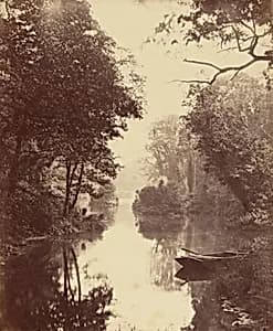 A Summer's Evening, Penllergare by John Dillwyn Llewelyn