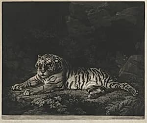 Portrait of John Dixon after George Stubbs