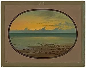 A Whale Ashore - Klahoquat by George Catlin