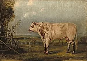Portrait of Attributed to John Woodhouse Audubon