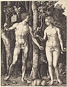 Adam and Eve by Albrecht Dürer