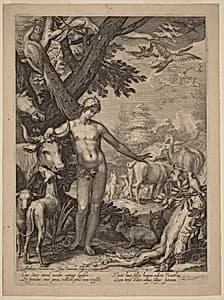 Portrait of Jan Pietersz Saenredam after Abraham Bloemaert
