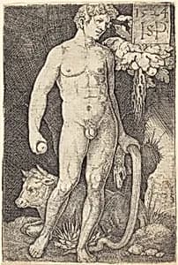 Adam Standing by Sebald Beham