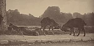 Along the Seine by Alfred Stieglitz
