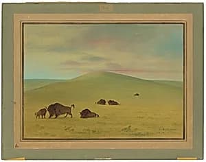 American Pasturage - Prairies of the Platte by George Catlin