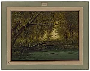 An Alligator's Nest by George Catlin