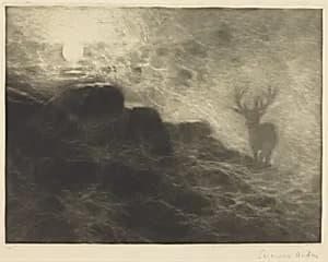 An Early Riser by Francis Seymour Haden