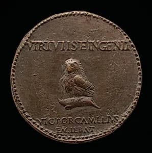 An Owl [reverse] by Vittore Gambello