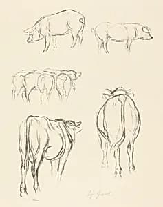Animal Sketches by August Gaul