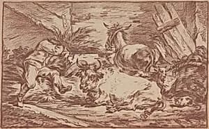 Animals in a Stable