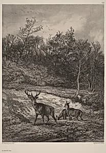 Au bord de l'eau by Karl Bodmer