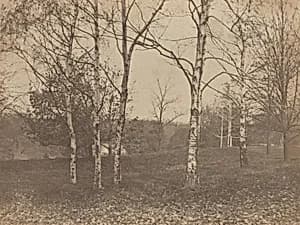 Autumn by Alfred Stieglitz