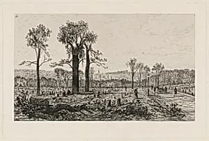 Avenue de Boulogne by Maxime Lalanne