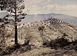 Bayardo by Louis J. Steele