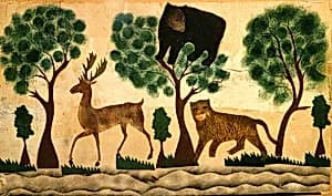 Bear in Tree by American 19th Century
