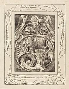 Behemoth and Leviathan by William Blake
