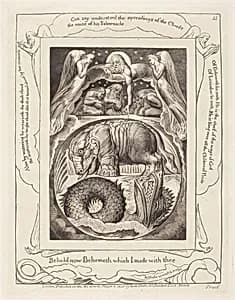 Behemoth and Leviathan by William Blake